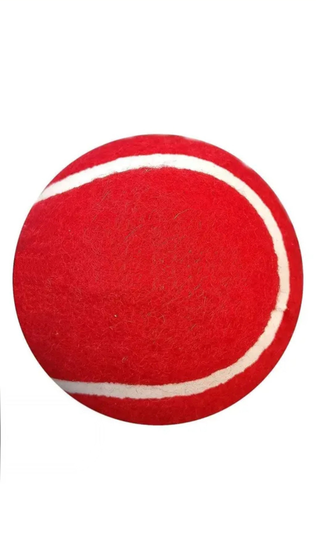 Size 6 Popular Willow Cricket Bat with Tennis Ball – Perfect for Young Beginners