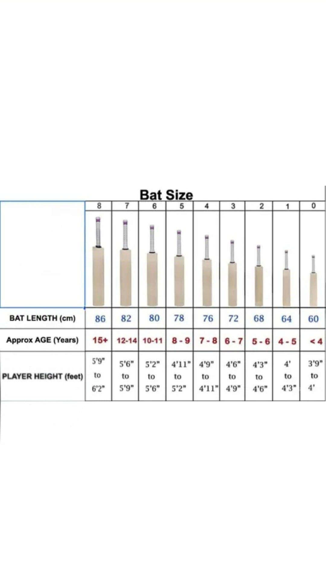 Kids Size 6 Popular Willow Cricket Bat with Tennis Ball – Perfect for Young Beginners