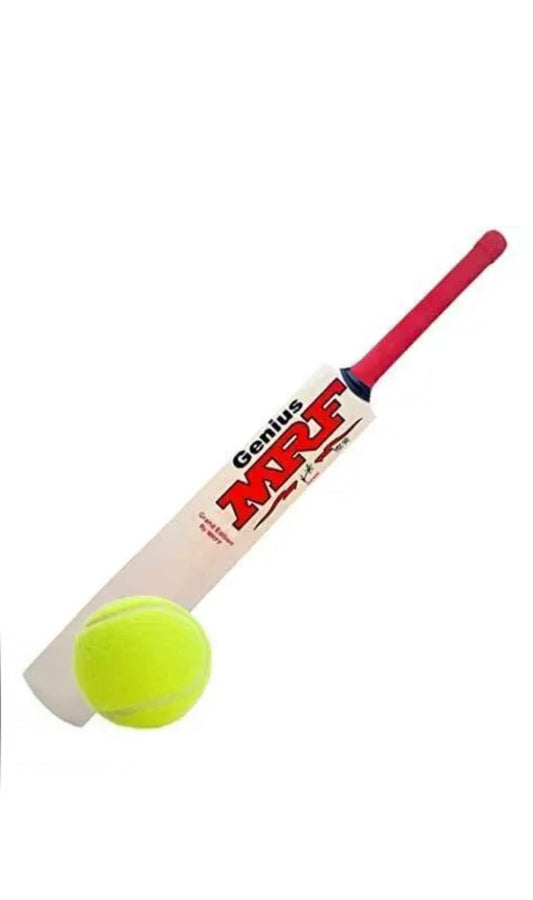 Kids Size 6 Popular Willow Cricket Bat with Tennis Ball – Perfect for Young Beginners
