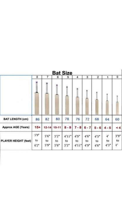 Kids Size 6 Popular Willow Cricket Bat with Tennis Ball – Perfect for Young Beginners
