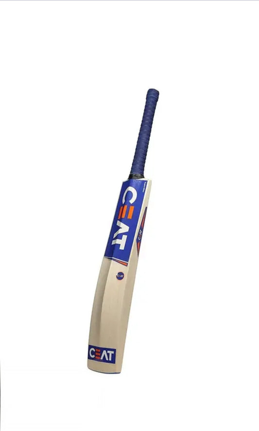 Size 6 Popular Willow Cricket Bat with Tennis Ball – Perfect for Young Beginners